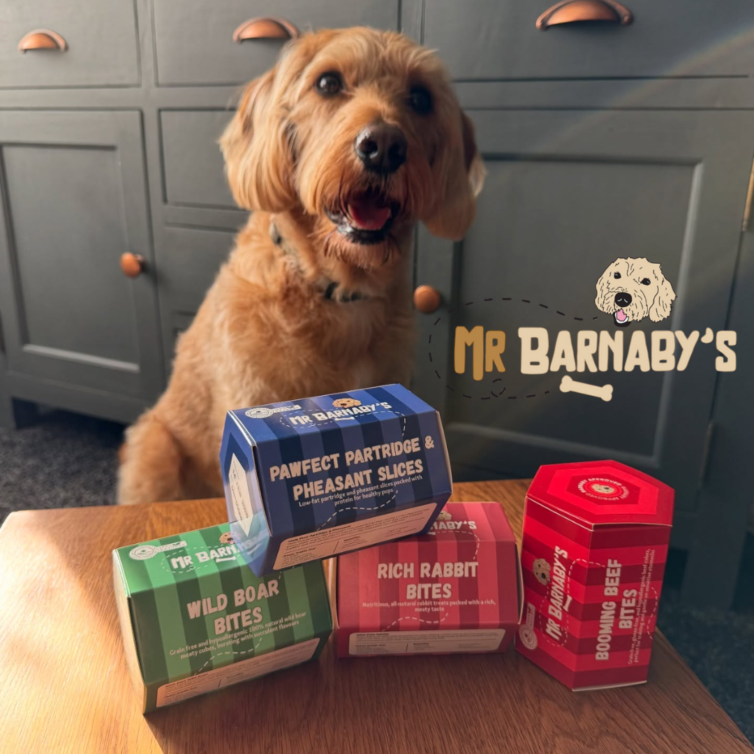 mr barnabys dog treats